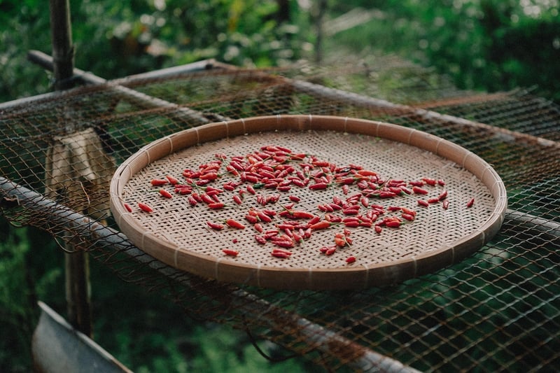 Spicy Thai Ingredients